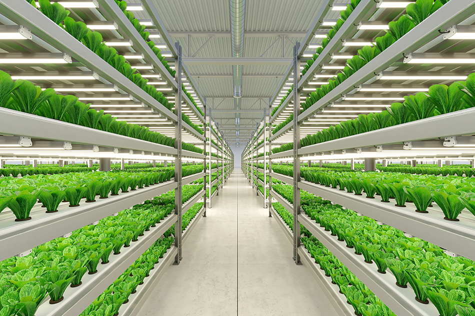 Closed-type Artificial Farm
