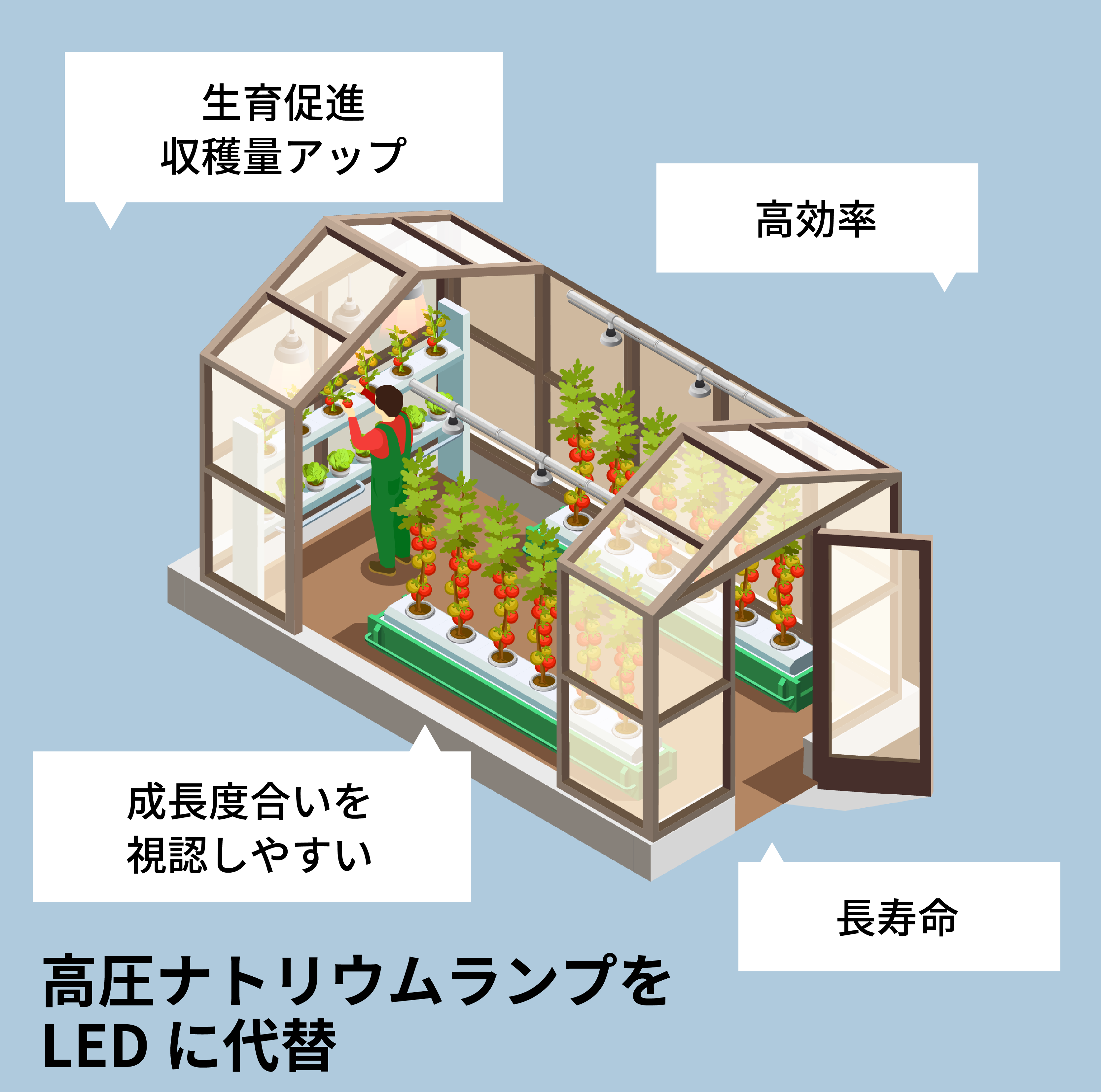 植物育成用 LED