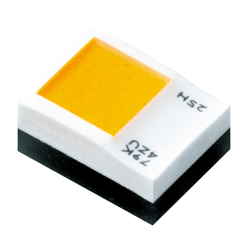 NJSA170H
